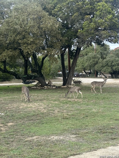 Image 15 of 27 For 3201 Oak Ridge