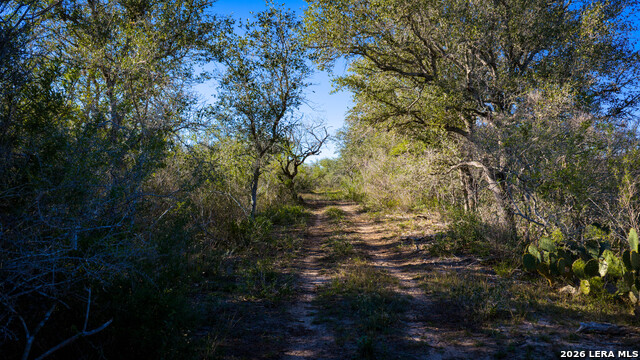 Image 12 of 43 For 7869 County Road 203