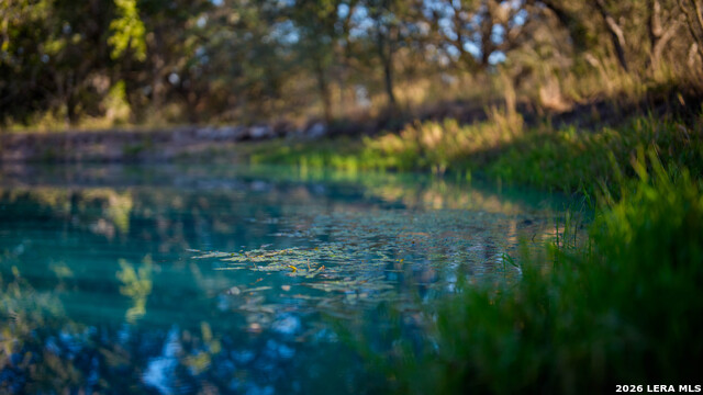 Image 32 of 43 For 7869 County Road 203