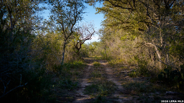 Image 34 of 43 For 7869 County Road 203