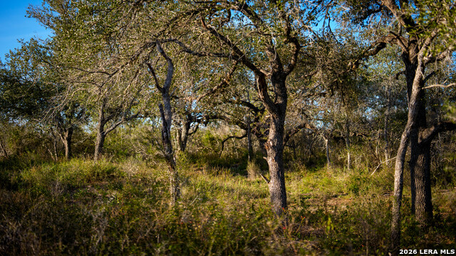 Image 35 of 43 For 7869 County Road 203