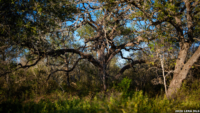 Image 36 of 43 For 7869 County Road 203