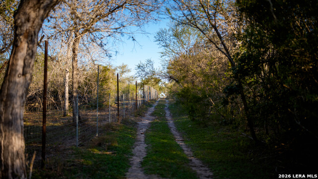 Image 37 of 43 For 7869 County Road 203