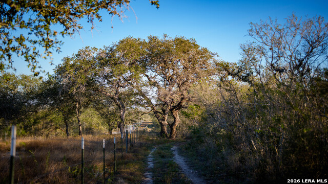 Image 38 of 43 For 7869 County Road 203