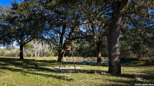 Image 5 of 43 For 7869 County Road 203