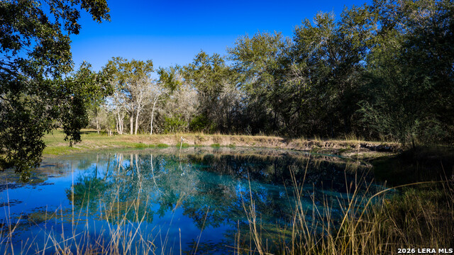 Image 6 of 43 For 7869 County Road 203