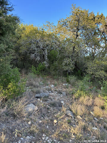 Listing photo id 29 for 849 Santa Cruz