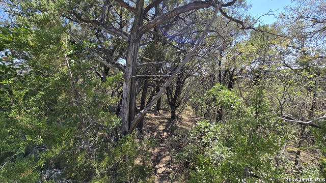 Image 16 of 18 For Tbd Doe Trail