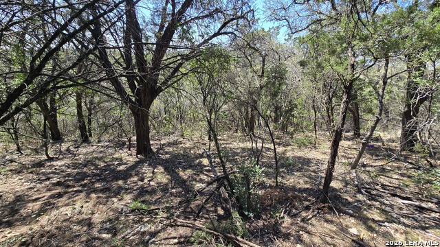 Image 18 of 18 For Tbd Doe Trail