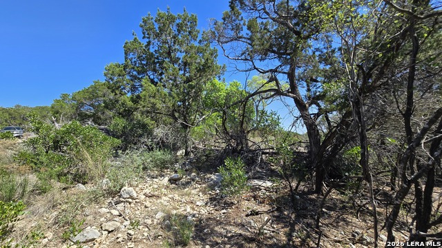 Image 3 of 18 For Tbd Doe Trail