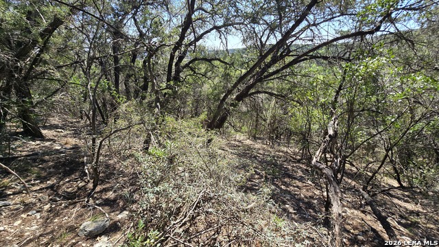 Image 4 of 18 For Tbd Doe Trail