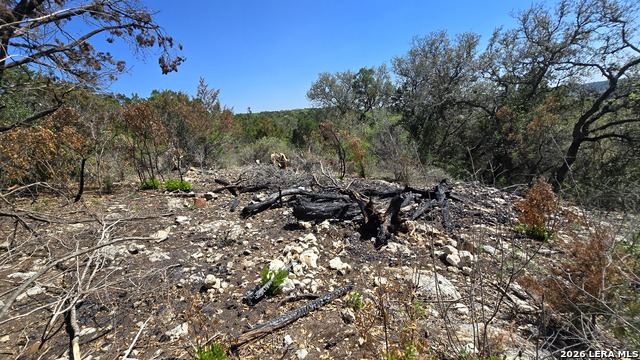 Image 8 of 18 For Tbd Doe Trail