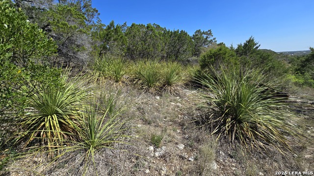 Image 9 of 18 For Tbd Doe Trail