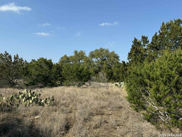 Image 13 of 19 For 202 Itll Do  