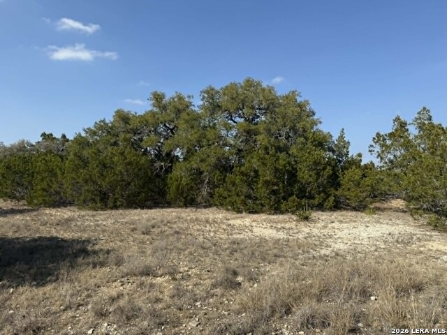 Image 14 of 19 For 202 Itll Do  