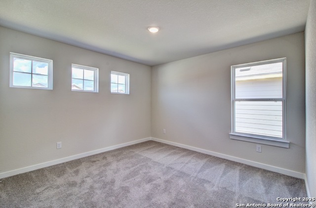 Image 10 of 18 For 2506 White Daisy Hill