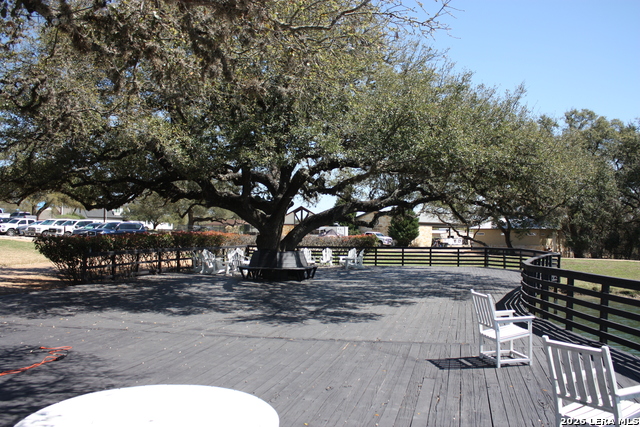 Image 5 of 31 For 225 Junius Peak S