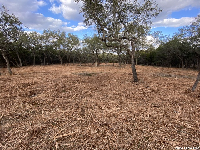 Image 17 of 24 For 970 Branch Crossing W