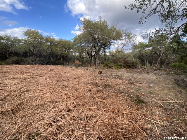 Image 19 of 24 For 970 Branch Crossing W