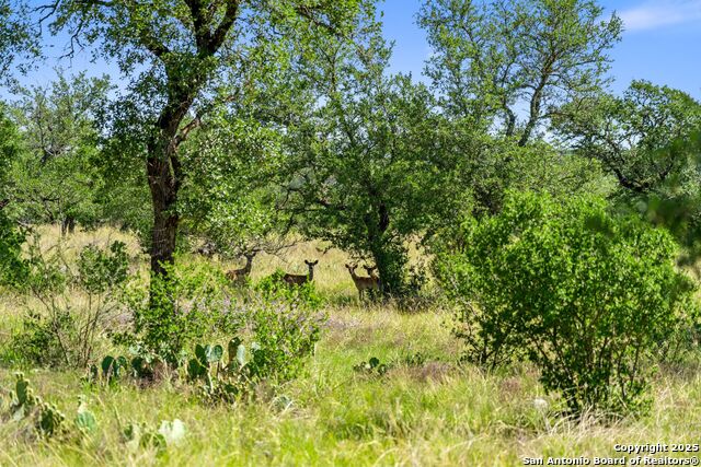 Image 4 of 37 For 620 Rio Vista Rd