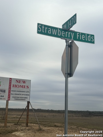 Image 2 of 4 For 125 Growers  