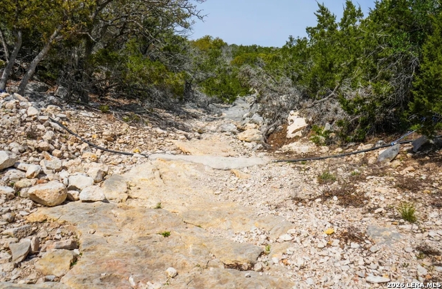 Image 18 of 20 For 000 No Name  