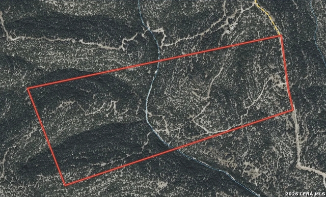 Image 20 of 20 For 000 No Name  