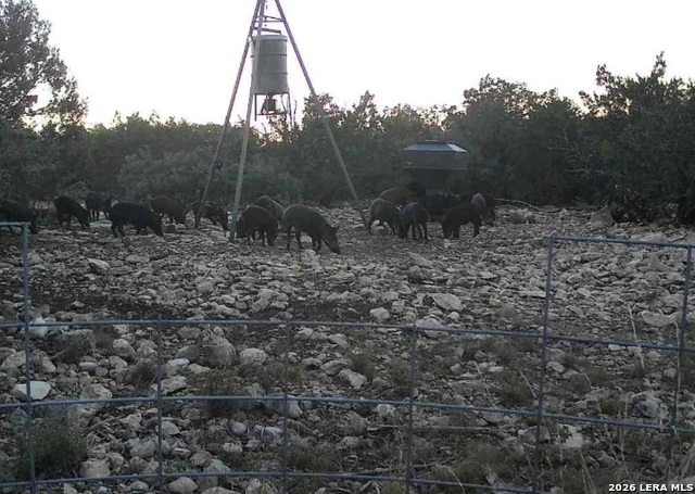 Image 4 of 20 For 000 No Name  