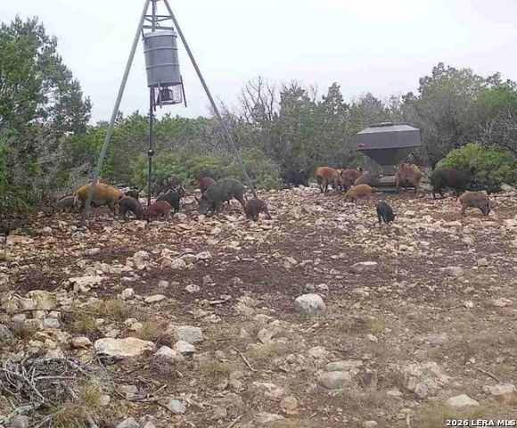 Image 5 of 20 For 000 No Name  