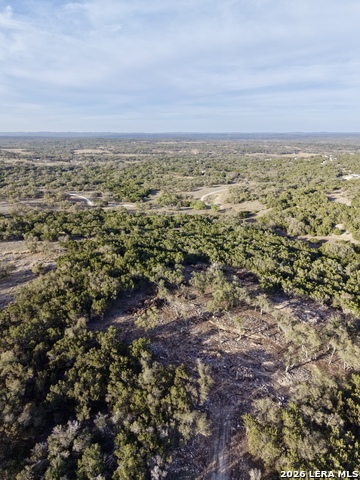 Image 12 of 18 For 136 Cedar Forest Pt