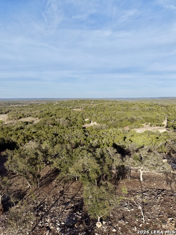 Image 8 of 18 For 136 Cedar Forest Pt