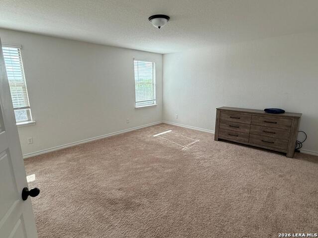 Image 11 of 20 For 5822 Agave Spine