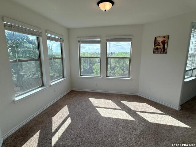 Image 12 of 20 For 5822 Agave Spine