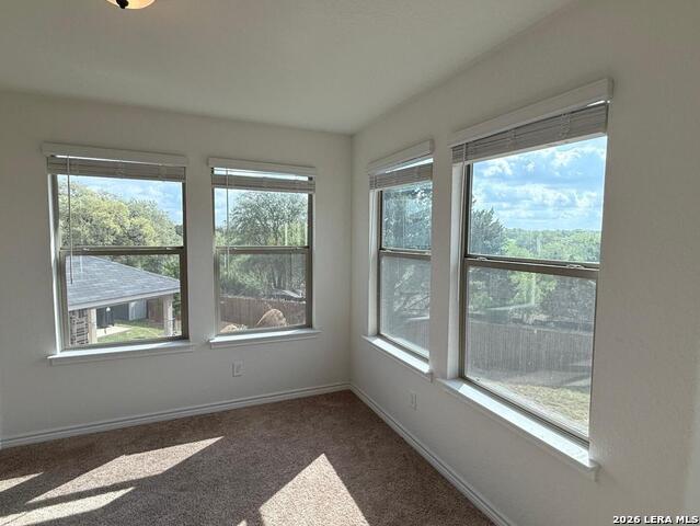 Image 13 of 20 For 5822 Agave Spine