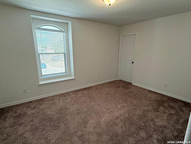 Image 15 of 20 For 5822 Agave Spine