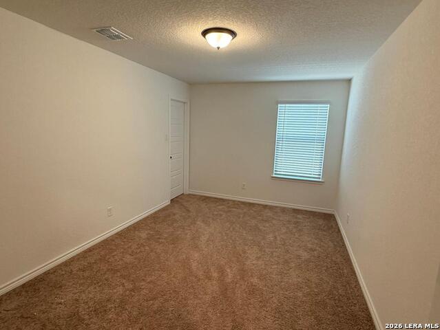 Image 16 of 20 For 5822 Agave Spine