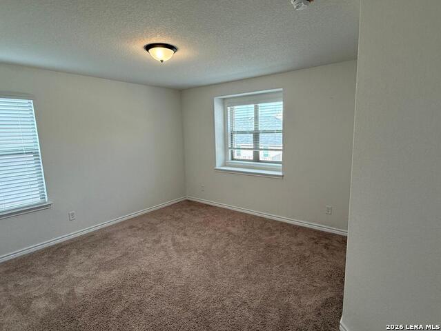 Image 17 of 20 For 5822 Agave Spine