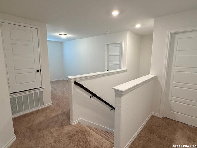 Image 9 of 20 For 5822 Agave Spine