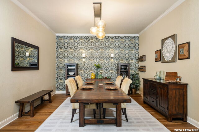 Image 11 of 67 For 3102 Spider Lily