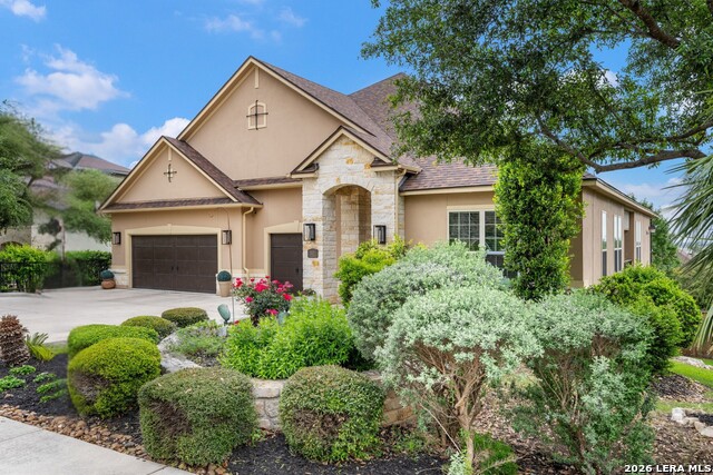 Image 2 of 67 For 3102 Spider Lily