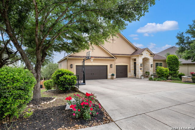 Image 3 of 67 For 3102 Spider Lily