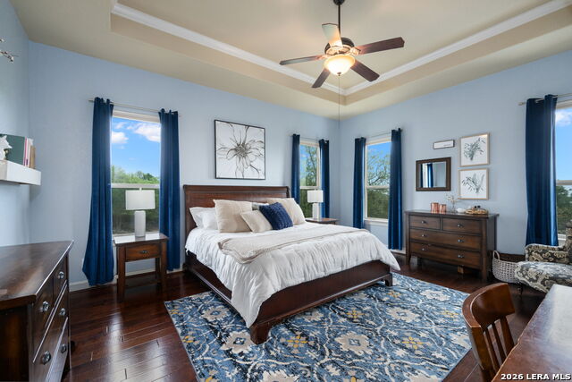 Image 31 of 67 For 3102 Spider Lily