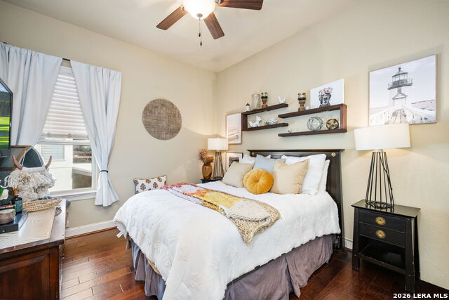 Image 36 of 67 For 3102 Spider Lily