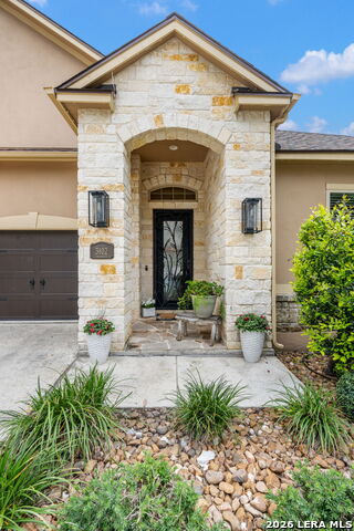 Image 4 of 67 For 3102 Spider Lily