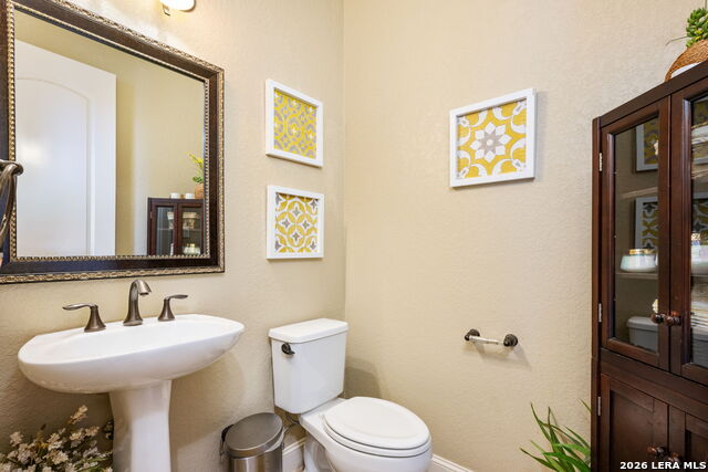 Image 40 of 67 For 3102 Spider Lily