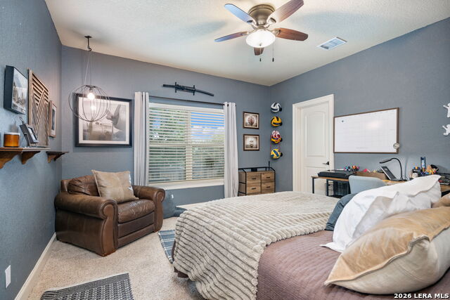 Image 50 of 67 For 3102 Spider Lily