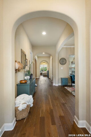 Image 6 of 67 For 3102 Spider Lily