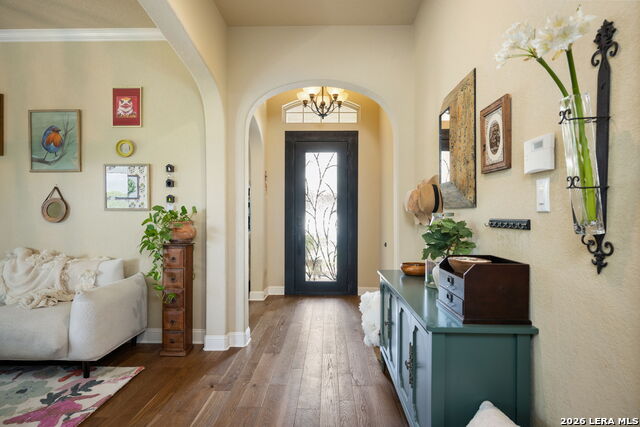 Image 7 of 67 For 3102 Spider Lily