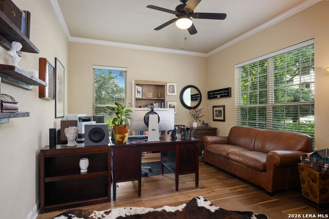 Image 8 of 67 For 3102 Spider Lily