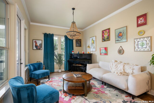 Image 9 of 67 For 3102 Spider Lily